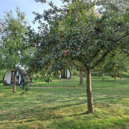 Uit De Kunst Appel * Bingelrade