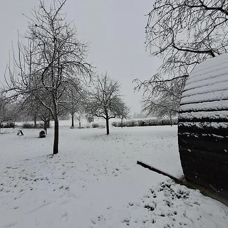 Uit De Kunst Appel Bingelrade