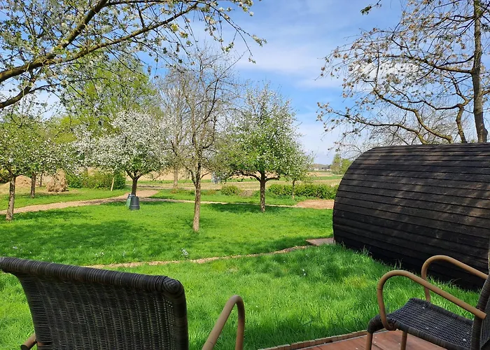 Uit De Kunst Appel * Bingelrade