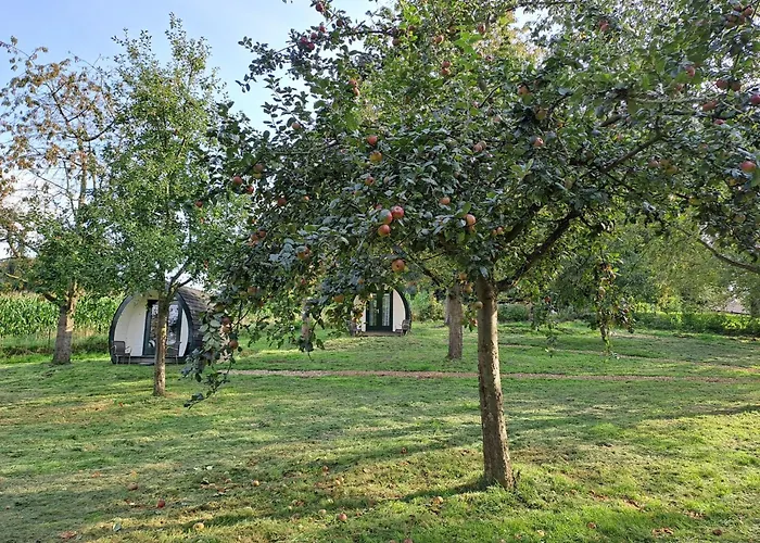 Uit De Kunst Appel * Bingelrade