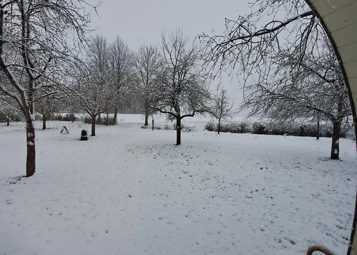 Lodge Uit De Kunst Appel