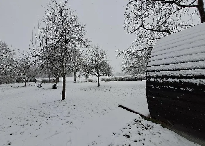 Uit De Kunst Appel Bingelrade