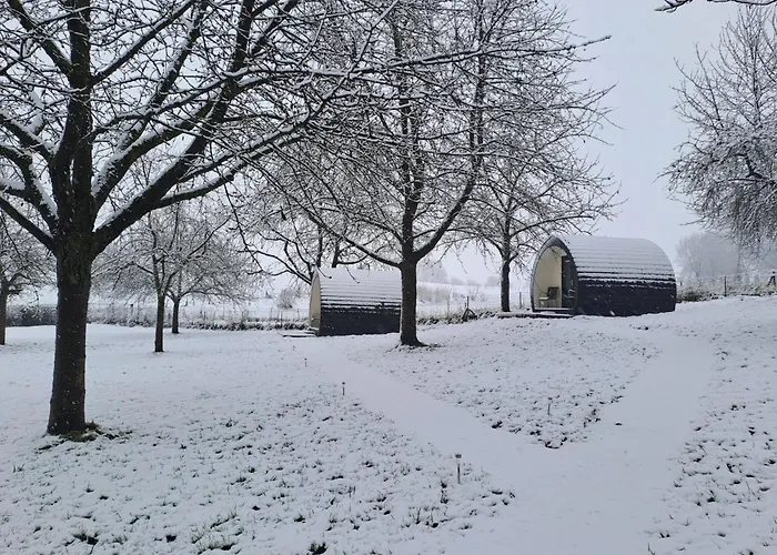 Uit De Kunst Appel Lodge Bingelrade