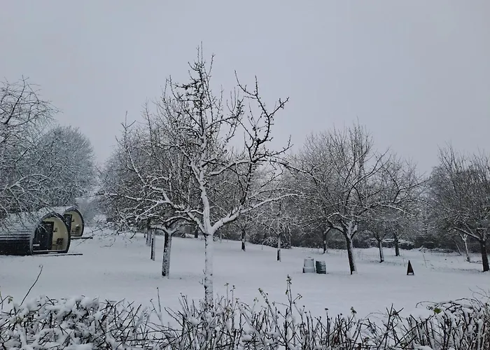 Uit De Kunst Appel * Bingelrade